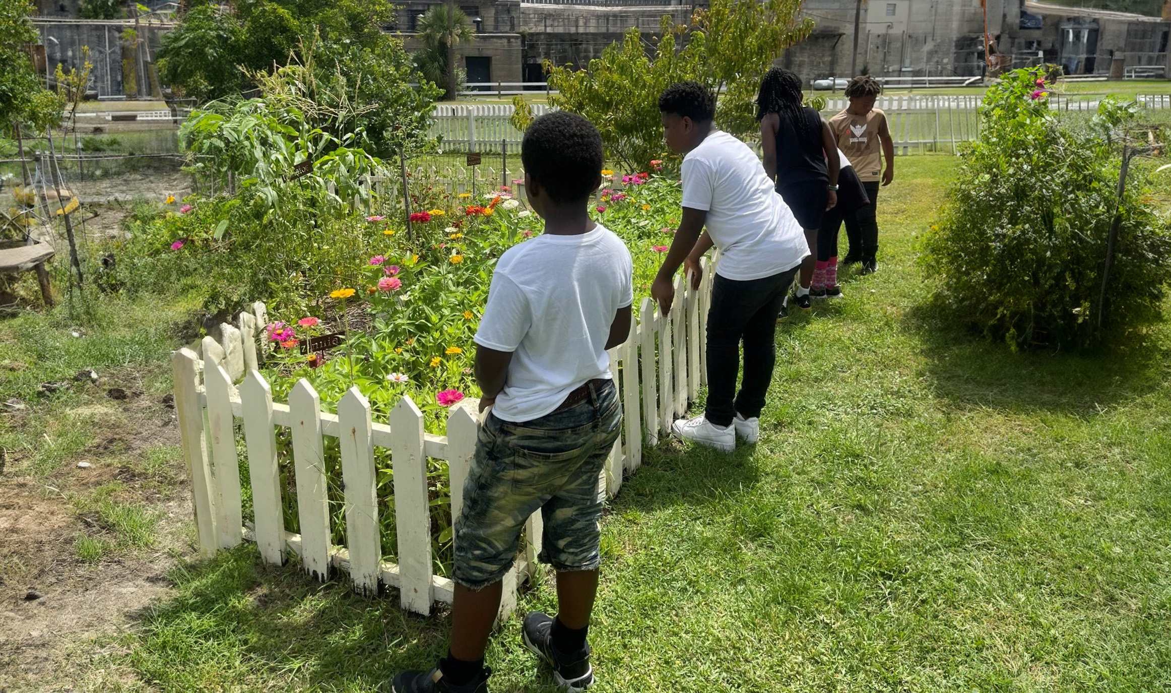 Tybee-garden-kids-flowers