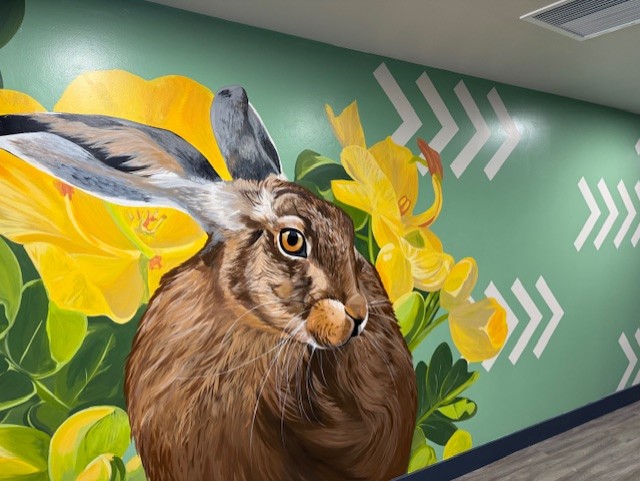 MHMP_The_Cascalote_Jackrabbit mural
